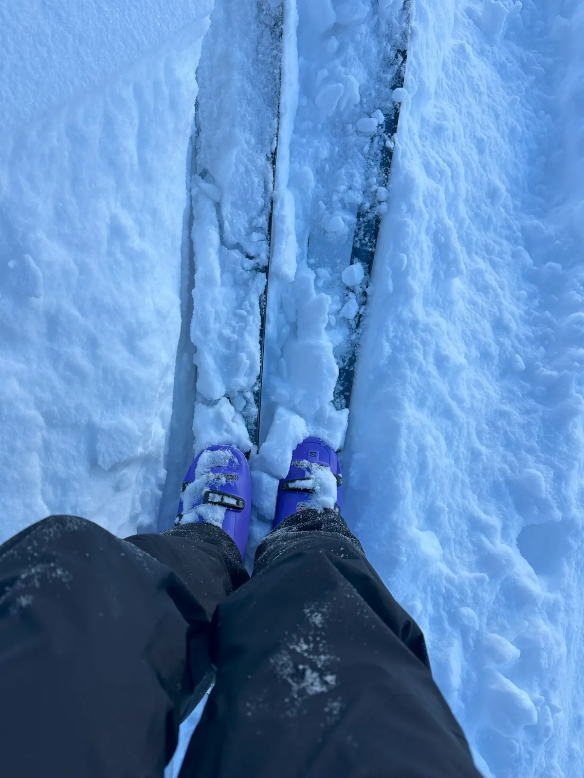 Test review Salomon Shift Alpha Boa 130